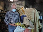 Juan Vicente Moll, agricultouctor i productor de perellons a la Vall d'Ebo, guarda i tapa els perellons a la cotxera per a que acaben de madurar. Imatge: Anaïs Ferrer